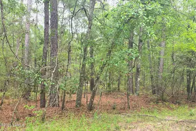 00 Wade Hampton Road, Hampton, SC 29924 - Photo 9