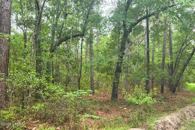00 Wade Hampton Road, Hampton, SC 29924 - Photo 3