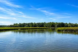 68 Stroup Rd, Seabrook, SC 29940 - Photo 25
