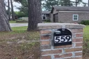 559 Rivers Hill, Pineland, SC 29934 - Photo 3