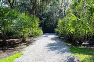 206 Green Winged Teal Dr S, Beaufort, SC 29907 - Photo 31