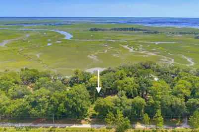 95 Harbor Oaks Lane, Saint Helena Island, SC 29920 - Photo 3