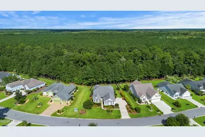 1542 Wiregrass Way, Hardeeville, SC 29927 - Photo 39