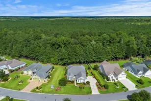 1542 Wiregrass Way, Hardeeville, SC 29927 - Photo 39