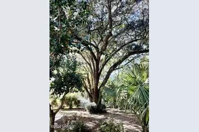 1501 Lafayette Street, Beaufort, SC 29902 - Photo 27