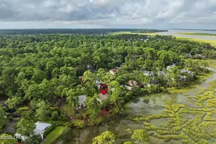 16 Song Sparrow Ln, Hilton Head Island, SC 29928 - Photo 51