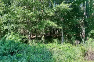511 Chicora Ln, Yemassee, SC 29945 - Photo 15