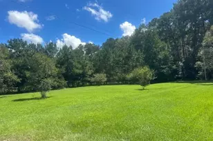557 Willie Mae Aiken Dr, Hardeeville, SC 29927 - Photo 73