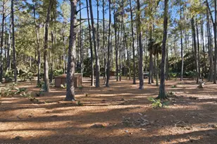 0 Rose Island, Port Royal, SC 29909 - Photo 53