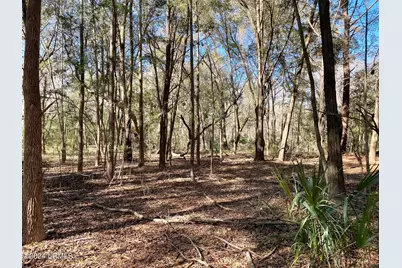 31 Honeysuckle Lane, Beaufort, SC 29907 - Photo 1