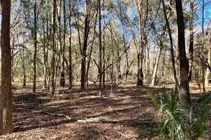 31 Honeysuckle Ln, Beaufort, SC 29907 - Photo 1