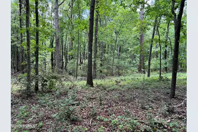 Tbd B Confederate Highway, Fairfax, SC 29827 - Photo 11