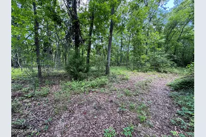 Tbd B Confederate Highway, Fairfax, SC 29827 - Photo 3