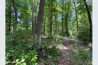 Tbd B Confederate Highway, Fairfax, SC 29827 - Photo 5