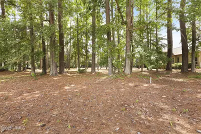 47 Manchester Court, Bluffton, SC 29910 - Photo 7