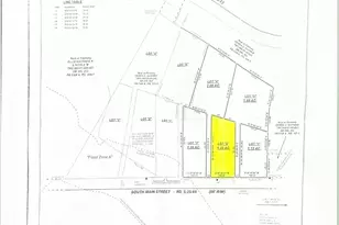 226 S Main St, Brunson, SC 29911 - Photo 21