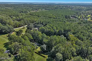 1566 Driggers Ln, Ridgeland, SC 29936 - Photo 77