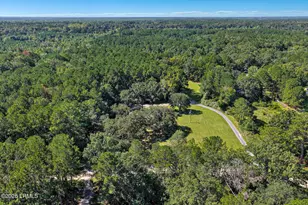 1566 Driggers Ln, Ridgeland, SC 29936 - Photo 79