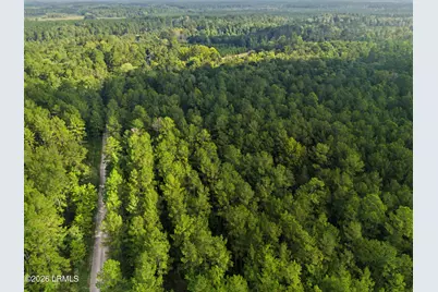 0 Tree Farm Road, Walterboro, SC 29488 - Photo 9
