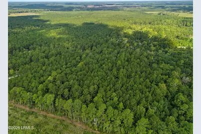 0 Tree Farm Road, Walterboro, SC 29488 - Photo 23