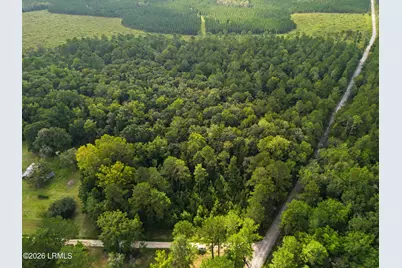 0 Tree Farm Road, Walterboro, SC 29488 - Photo 13