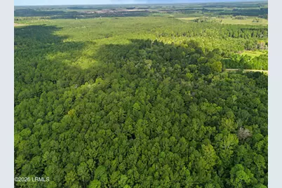 0 Tree Farm Road, Walterboro, SC 29488 - Photo 19