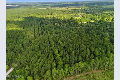 0 Tree Farm Road, Walterboro, SC 29488 - Photo 21