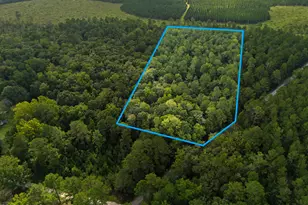 0 Tree Farm Rd, Walterboro, SC 29488 - Photo 1