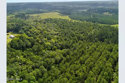 0 Tree Farm Road, Walterboro, SC 29488 - Photo 25