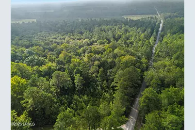 0 Tree Farm Road, Walterboro, SC 29488 - Photo 3