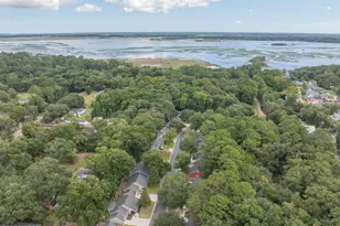 41 Brindlewood Dr, Beaufort, SC 29907 - Photo 39
