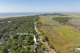 102 Sea Otter Ln, Ladys Island, SC 29920 - Photo 53