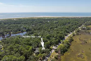 102 Sea Otter Ln, Ladys Island, SC 29920 - Photo 55