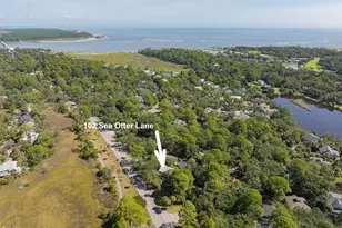 102 Sea Otter Ln, Ladys Island, SC 29920 - Photo 47