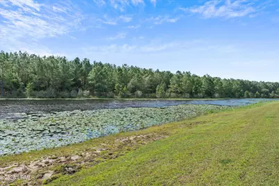 335 Sweetbay Drive, Hardeeville, SC 29927 - Photo 35