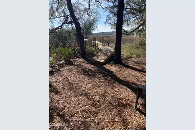 Tbd Wimbee Creek Island, Seabrook, SC 29940 - Photo 5