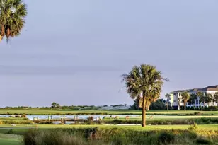 703 Sea Dragon Ln, Ladys Island, SC 29920 - Photo 53