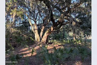 4 Governor Blake Drive, Beaufort, SC 29907 - Photo 5