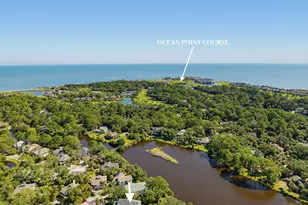 298 White Tail Ct, Ladys Island, SC 29920 - Photo 71