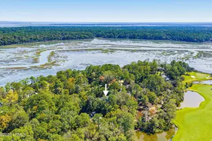 8 Heron Point, Okatie, SC 29909 - Photo 71