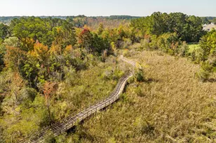 11 Scenic Dr, Bluffton, SC 29909 - Photo 41