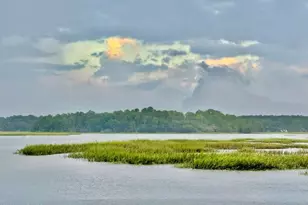 109 River House Dr, Beaufort, SC 29907 - Photo 91