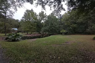 1512 Big Br Rd, Early Branch, SC 29916 - Photo 9