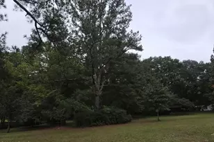 1512 Big Br Rd, Early Branch, SC 29916 - Photo 5