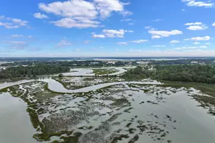 1272 Windswept Oak Ln, Beaufort, SC 29902 - Photo 61