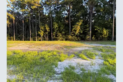 268 Proctor Street, Ridgeland, SC 29936 - Photo 39