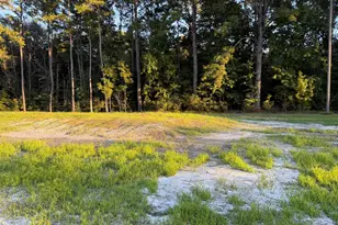 268 Proctor St, Ridgeland, SC 29936 - Photo 39