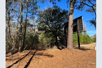 Tbd Lowcountry Drive, Ridgeland, SC 29936 - Photo 1