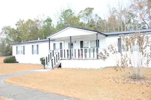 344 Suzie Ln, Brunson, SC 29911 - Photo 1