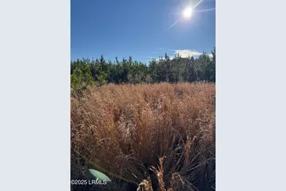 Tbd S Ulmer Rd, Fairfax, SC 29827 - Photo 1